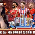 trực tiếp bóng đá